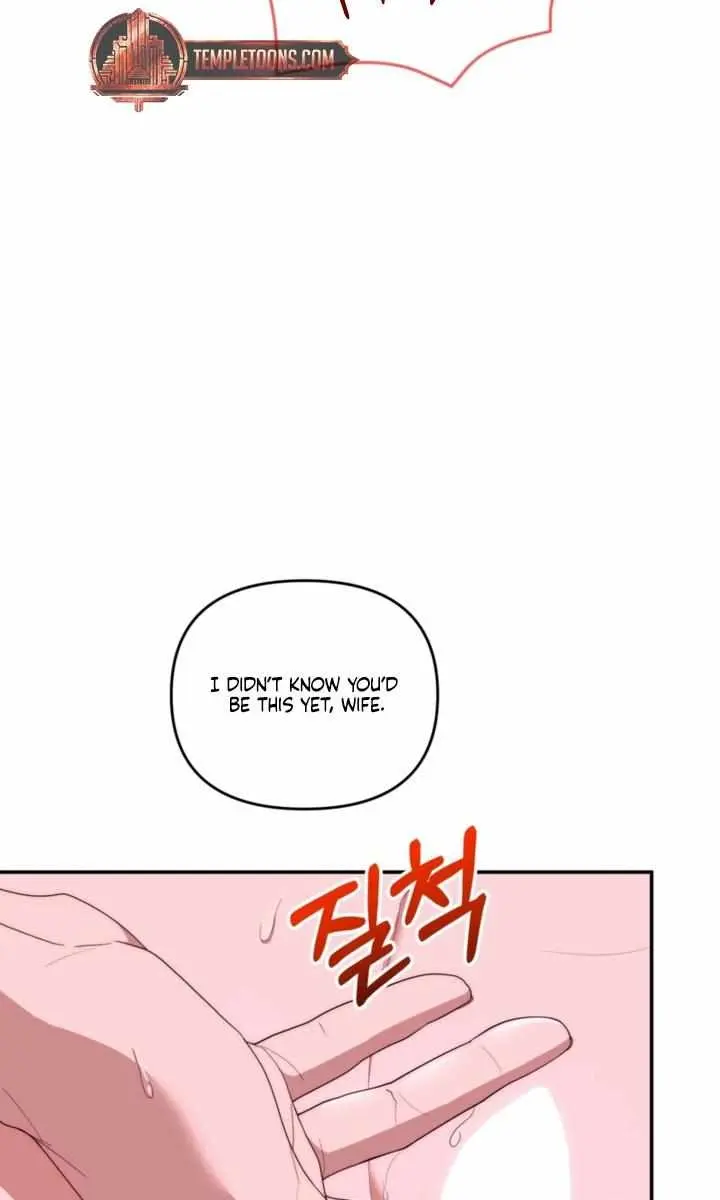Five Husbands Appeared on My Birthday Chapter 12 Page 66