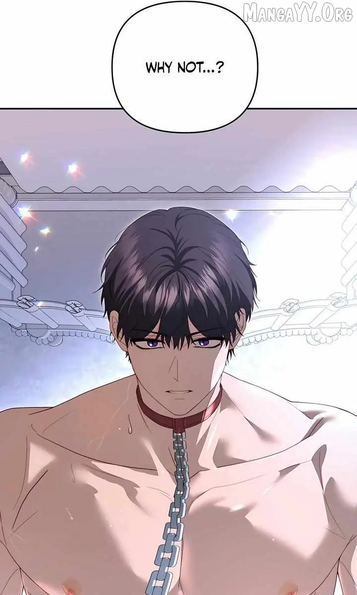 Five Husbands Appeared on My Birthday Chapter 13 Page 11