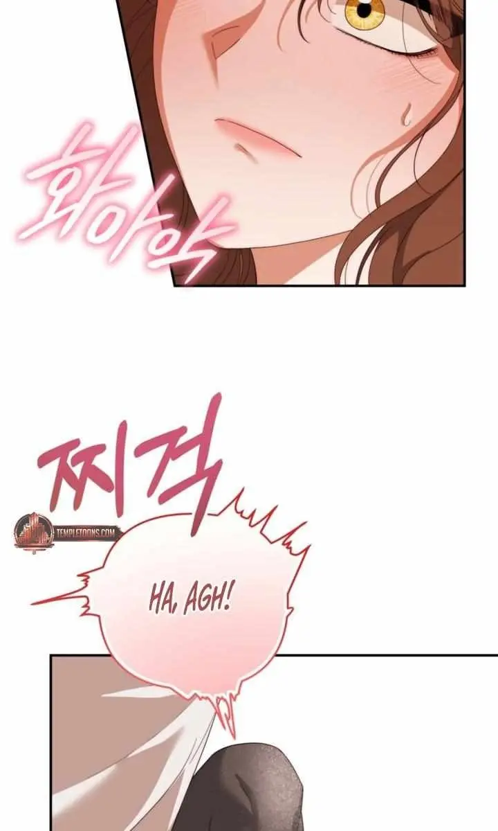 Five Husbands Appeared on My Birthday Chapter 18 Page 16