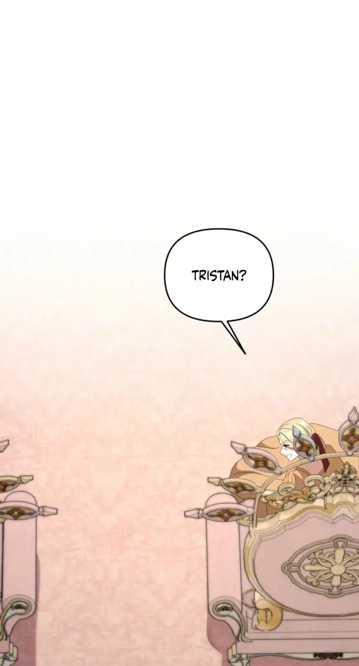 Five Husbands Appeared on My Birthday Chapter 31 Page 43