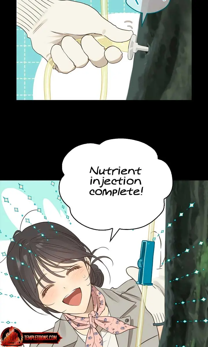 Flower of Allure Chapter 1 Page 13