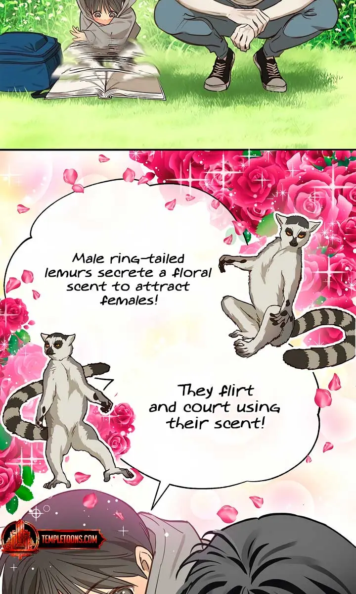 Flower of Allure Chapter 25 Page 11