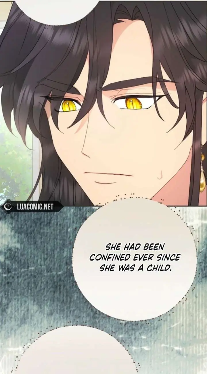Forget My Husband, I'll Go Make Money Chapter 113 Page 50