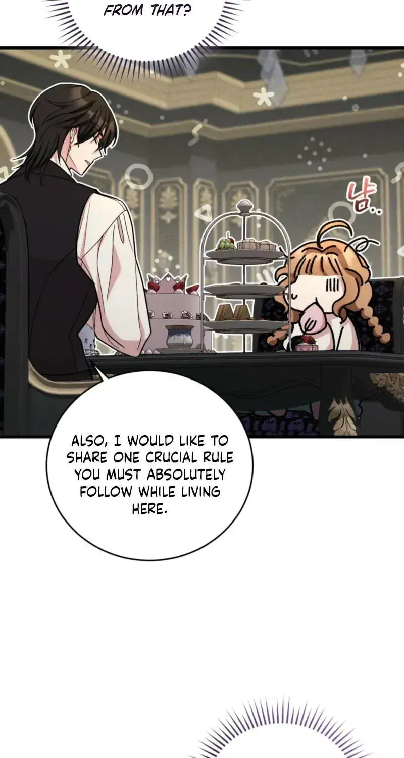 History Is at the Library Chapter 15 Page 42