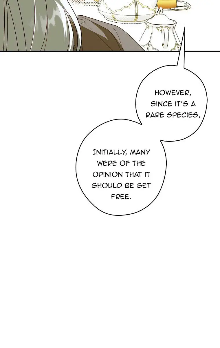 How to Get My Husband on My Side Chapter 45 Page 38