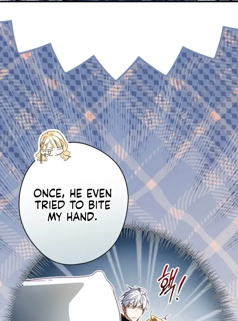 How to Get My Husband on My Side Chapter 143 Page 92