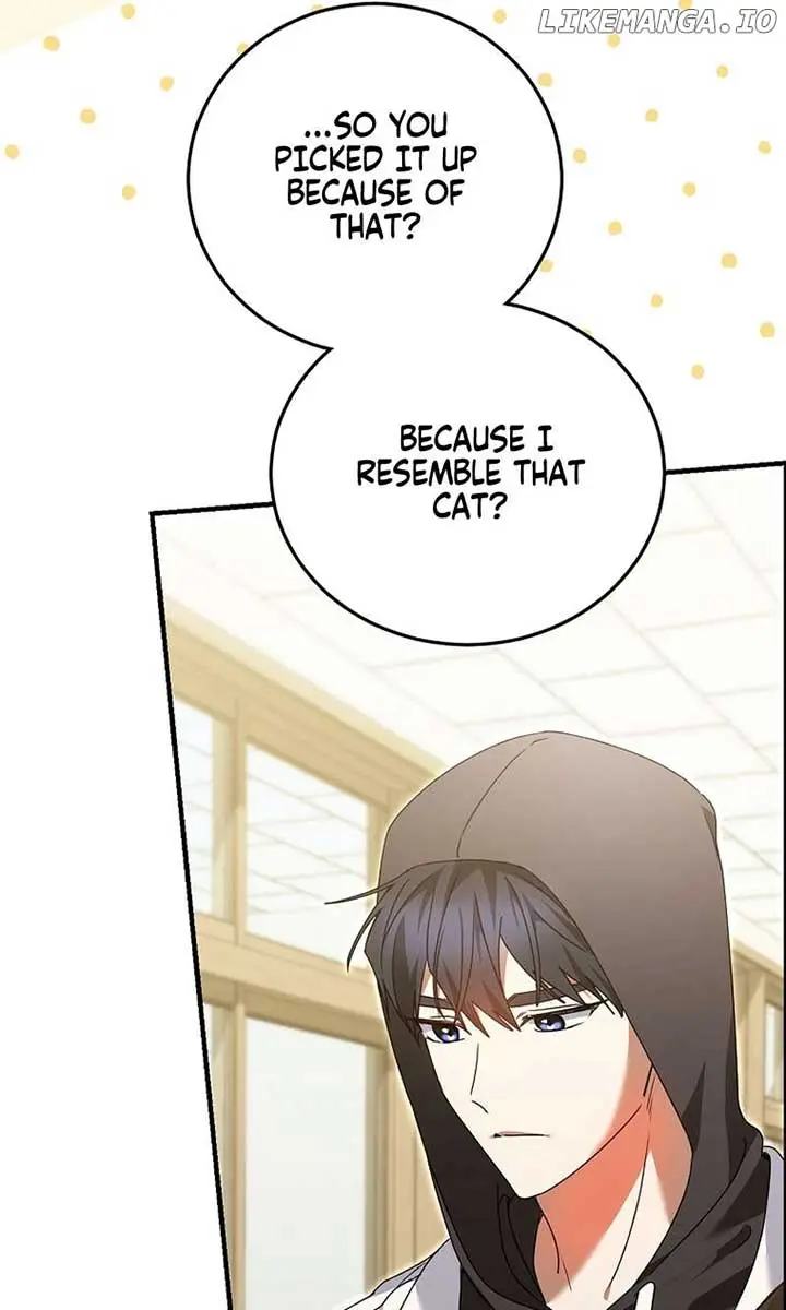 Stuck in Class With the Crazy Male Leads Chapter 36 Page 13