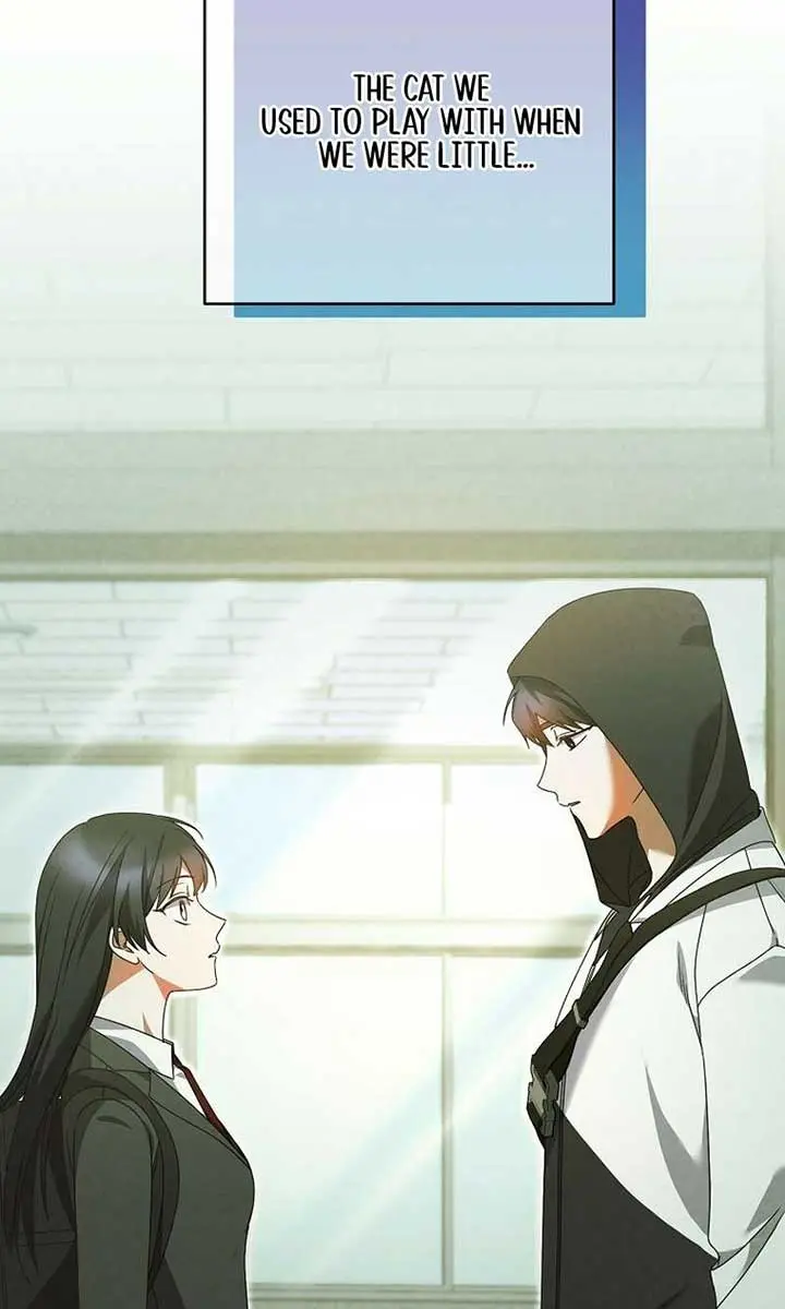 Stuck in Class With the Crazy Male Leads Chapter 36 Page 85