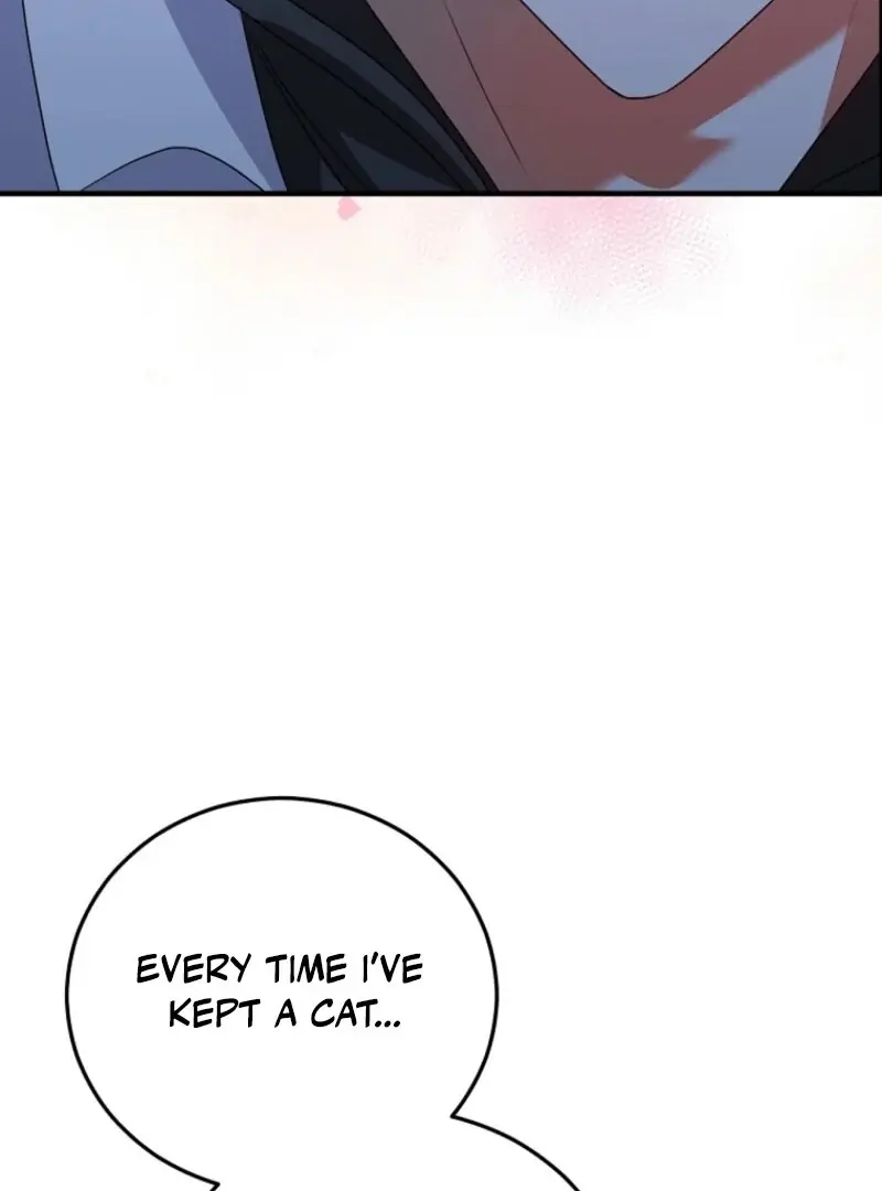 Stuck in Class With the Crazy Male Leads Chapter 43 Page 37