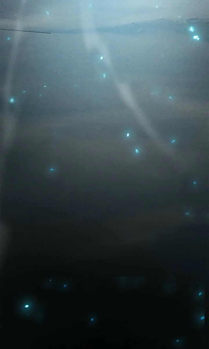 I Awoke as a God After Auto-Battling for a Million Years Chapter 47 Page 5