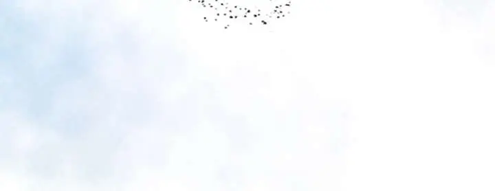 I Became a Genius at the Academy in a World Where Magic Reigns Supreme Chapter 36 Page 11