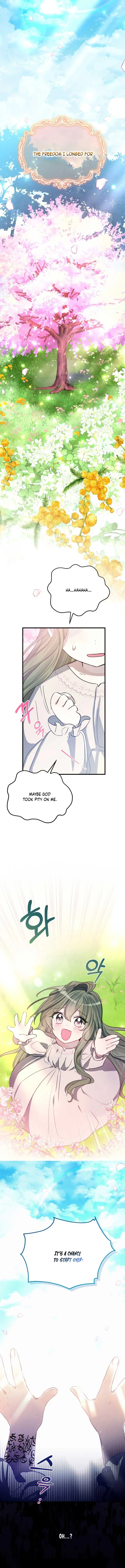 I Became the Contract Daughter of the Soon-to-Be Ruined Family Chapter 2 Page 3