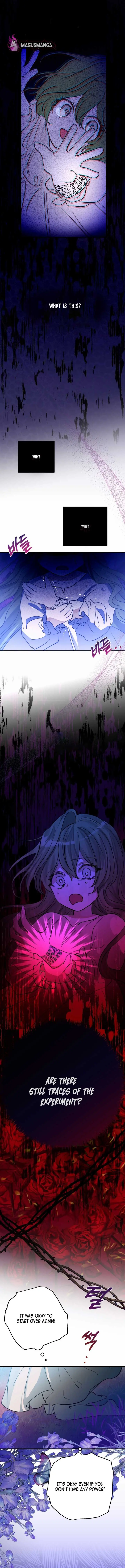 I Became the Contract Daughter of the Soon-to-Be Ruined Family Chapter 2 Page 4