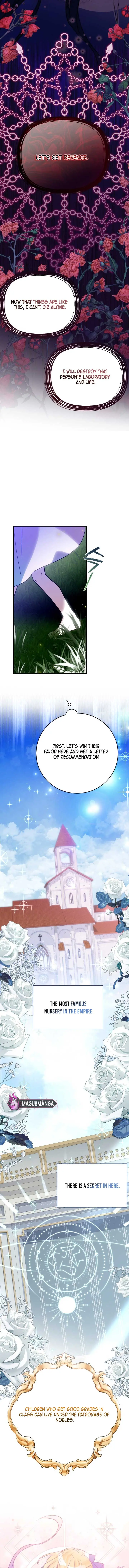 I Became the Contract Daughter of the Soon-to-Be Ruined Family Chapter 2 Page 6