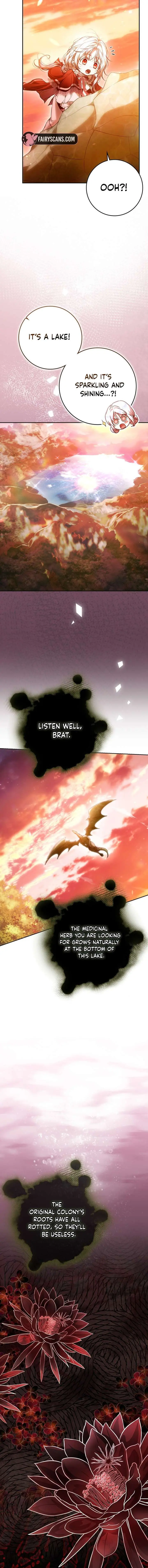 Author of My Own Destiny Chapter 144 Page 12