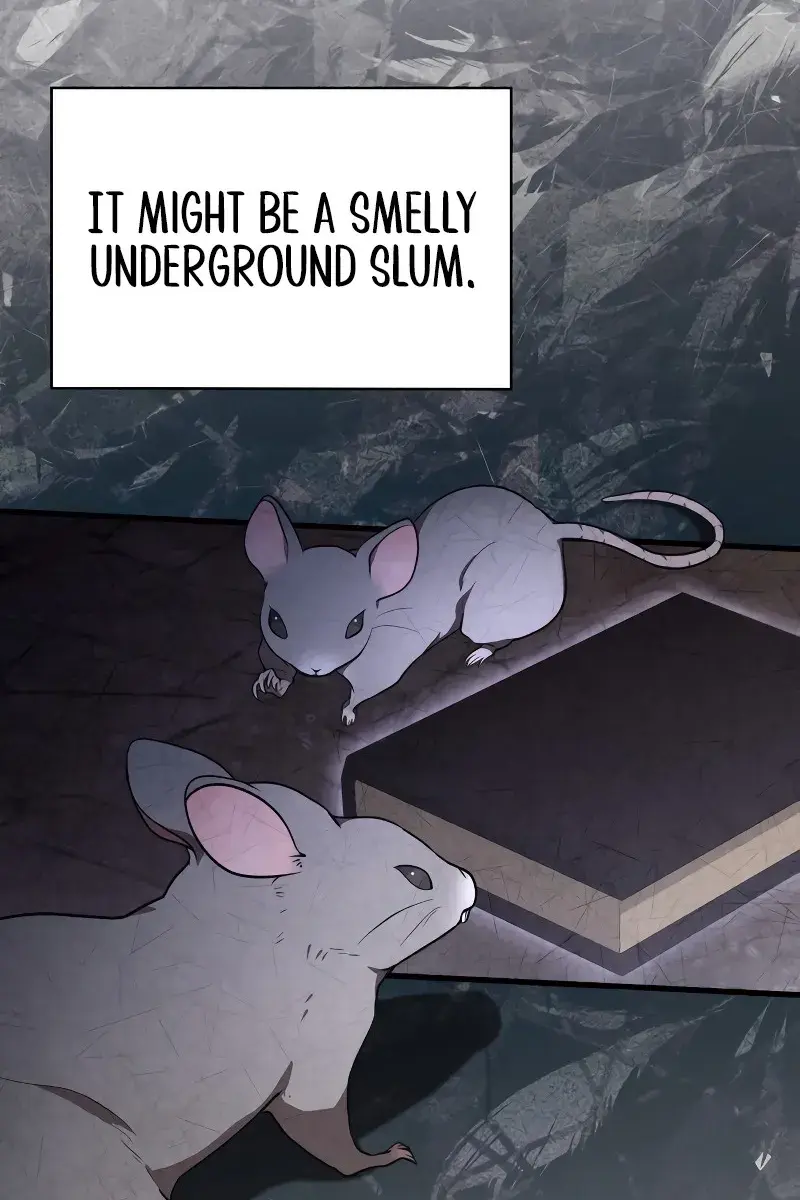 I Become a Legendary Arch Mage by Reading a Book Chapter 1 Page 226