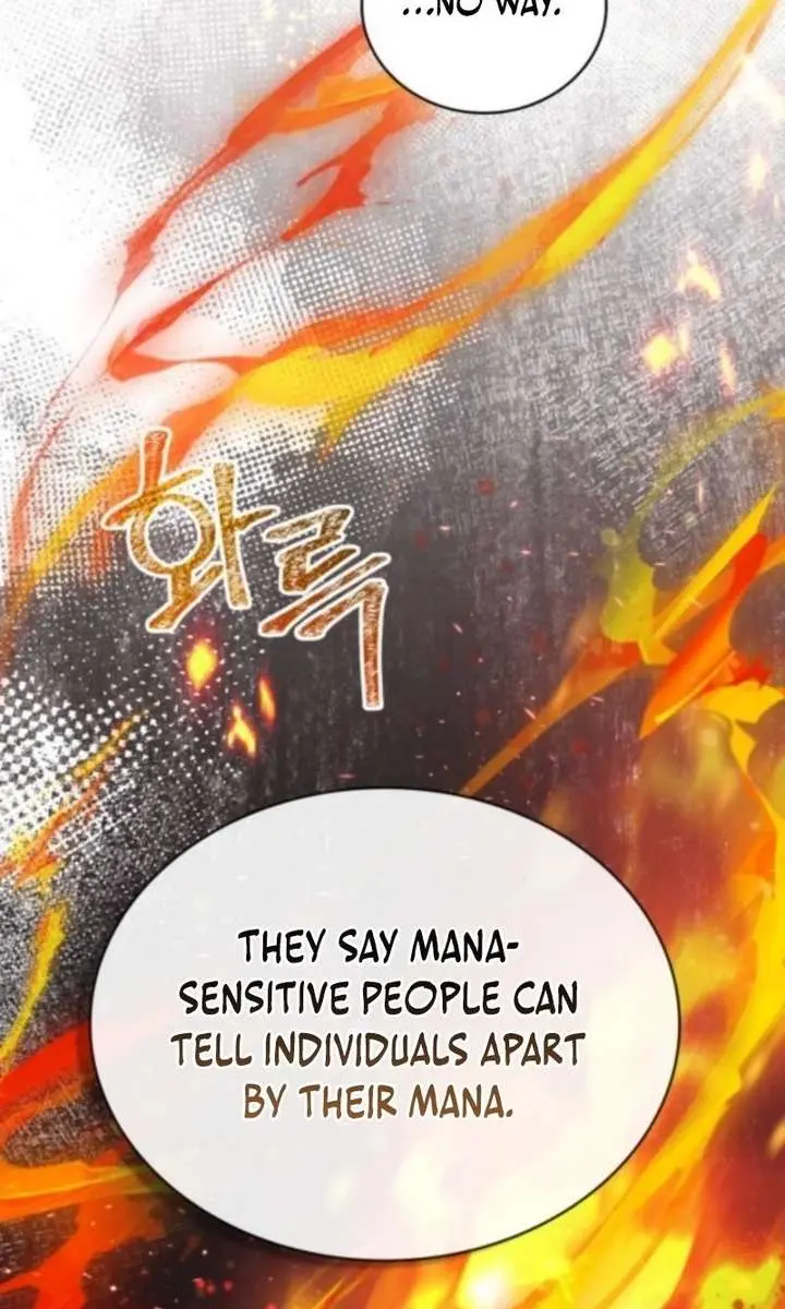I Become a Legendary Arch Mage by Reading a Book Chapter 71 Page 117