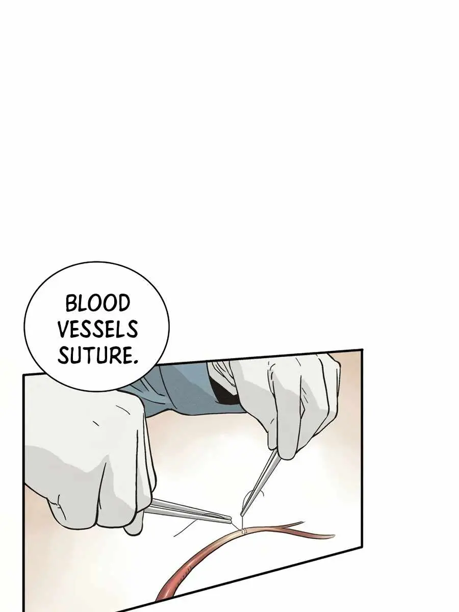 I Reincarnated as a Legendary Surgeon Chapter 13 Page 68