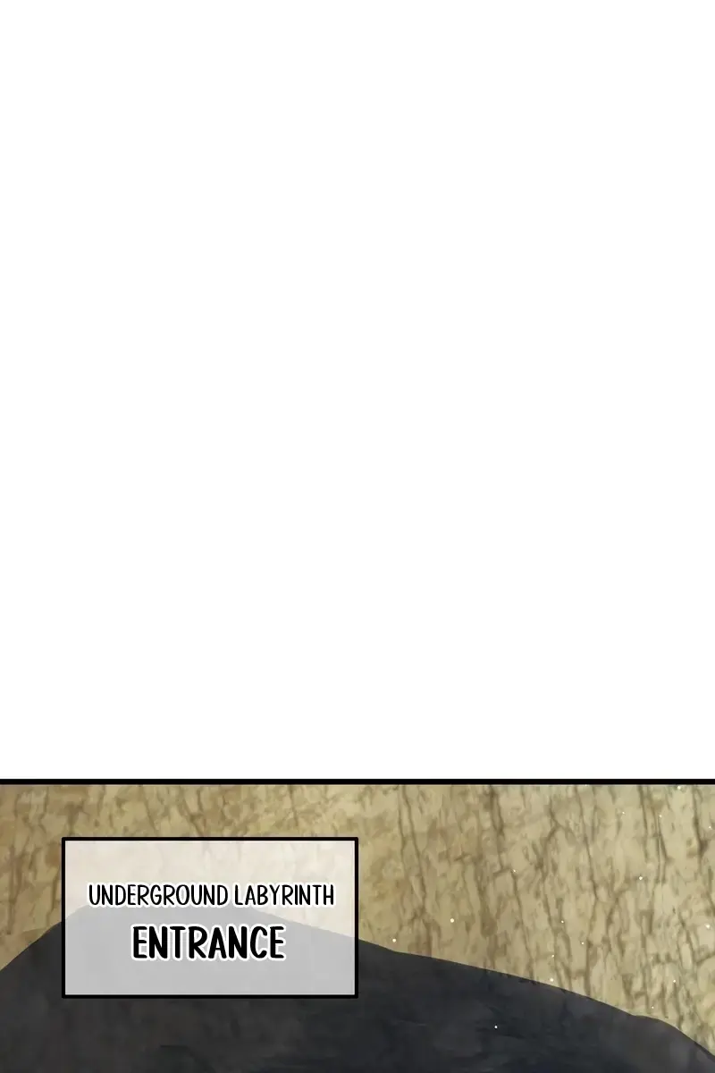 I Rely on My Invincibility to Deal Tons of Damage Passively Chapter 40 Page 70
