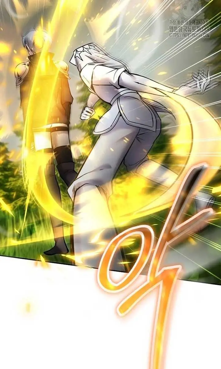 I Was More Overpowered Than the Hero, So I Hid My Power! Chapter 57 Page 117