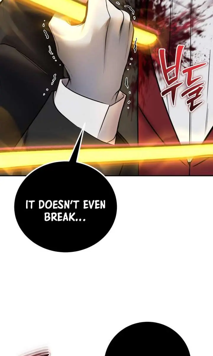 I Was More Overpowered Than the Hero, So I Hid My Power! Chapter 90 Page 74