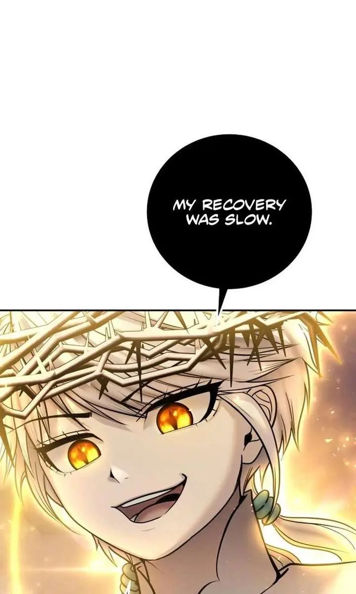 I Was More Overpowered Than the Hero, So I Hid My Power! Chapter 94 Page 114