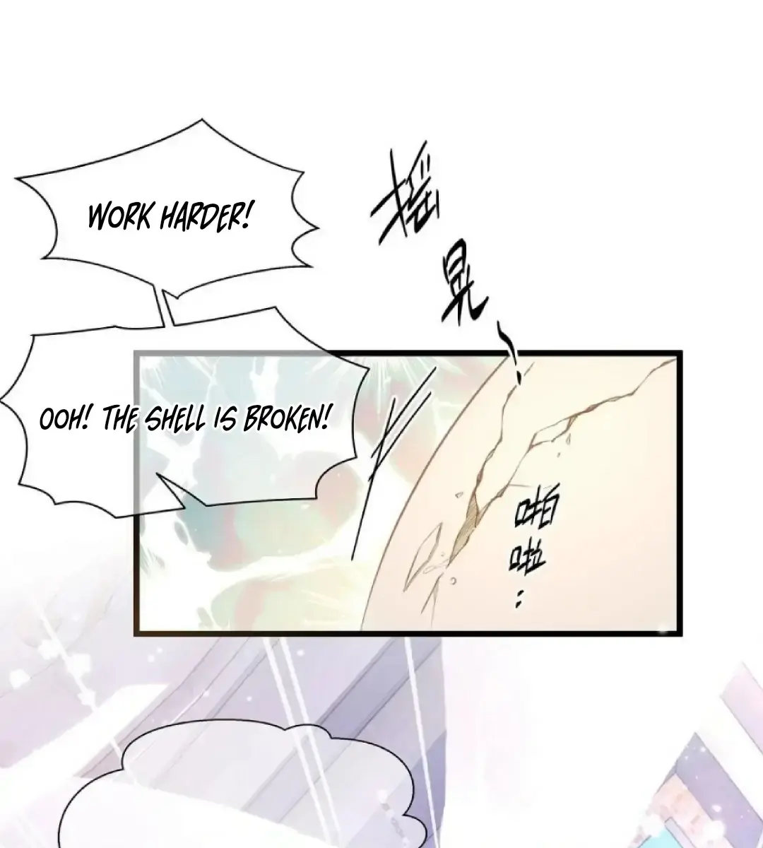 I Was Reborn as His Highness the Prince's Little Evil Dragon Chapter 1 Page 12