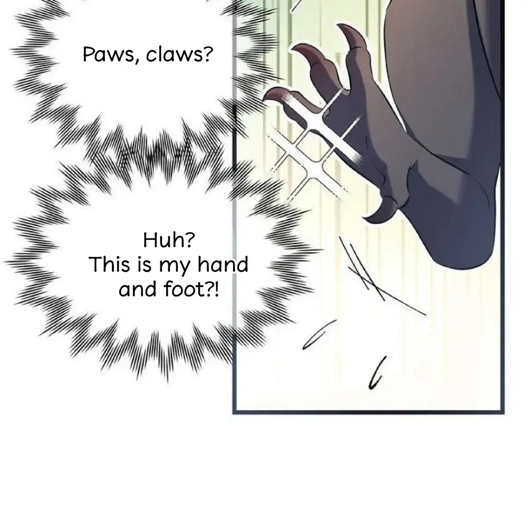 I Was Reborn as His Highness the Prince's Little Evil Dragon Chapter 1 Page 21