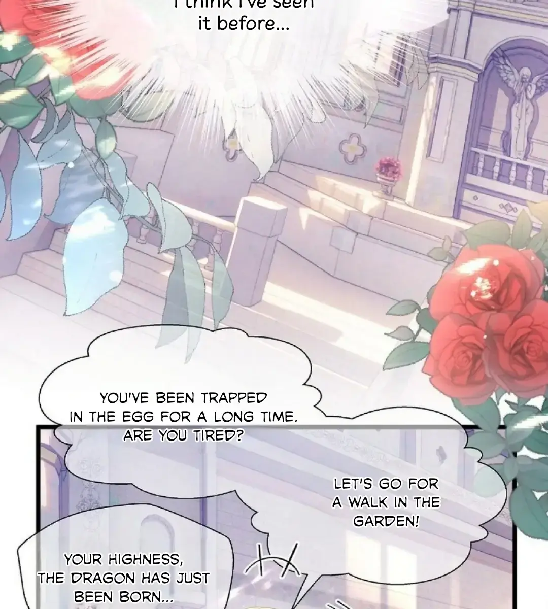 I Was Reborn as His Highness the Prince's Little Evil Dragon Chapter 1 Page 40