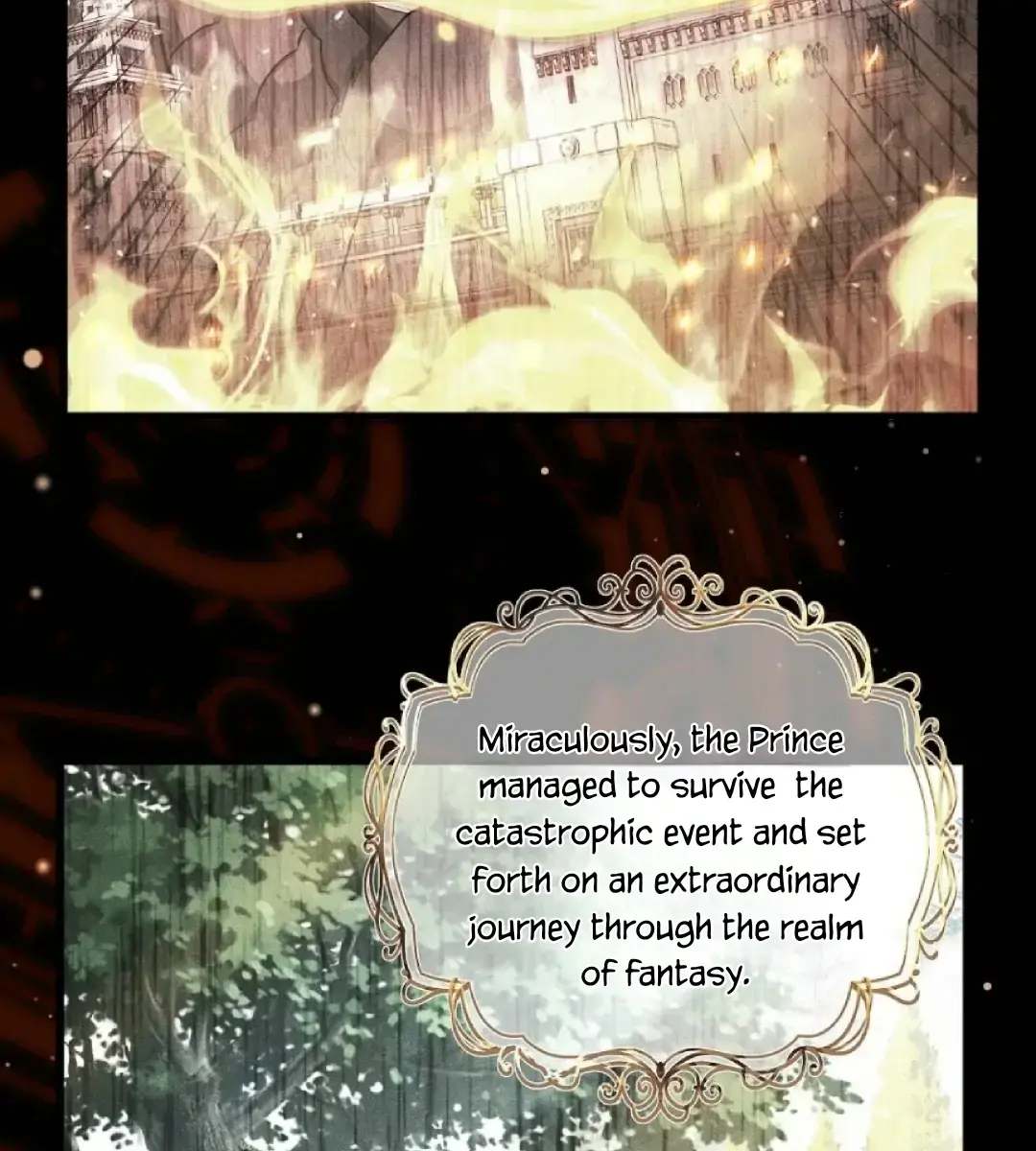 I Was Reborn as His Highness the Prince's Little Evil Dragon Chapter 2 Page 11