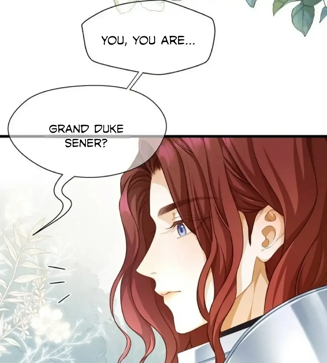 I Was Reborn as His Highness the Prince's Little Evil Dragon Chapter 8 Page 16