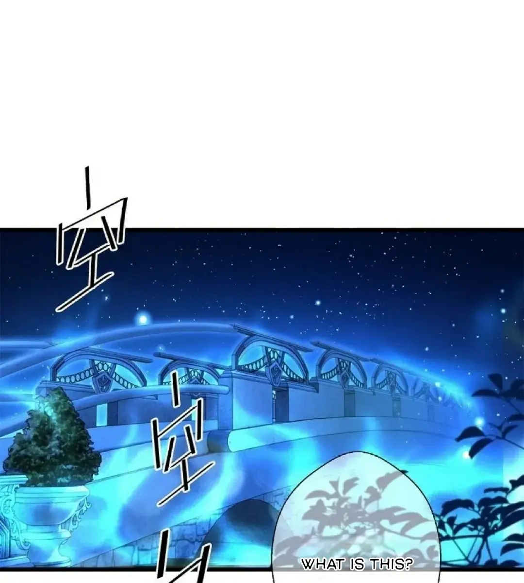 I Was Reborn as His Highness the Prince's Little Evil Dragon Chapter 10 Page 6
