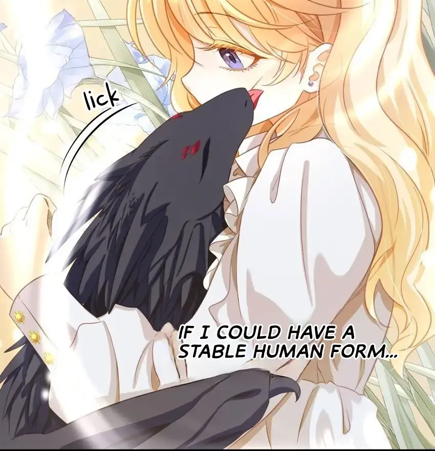 I Was Reborn as His Highness the Prince's Little Evil Dragon Chapter 13 Page 41