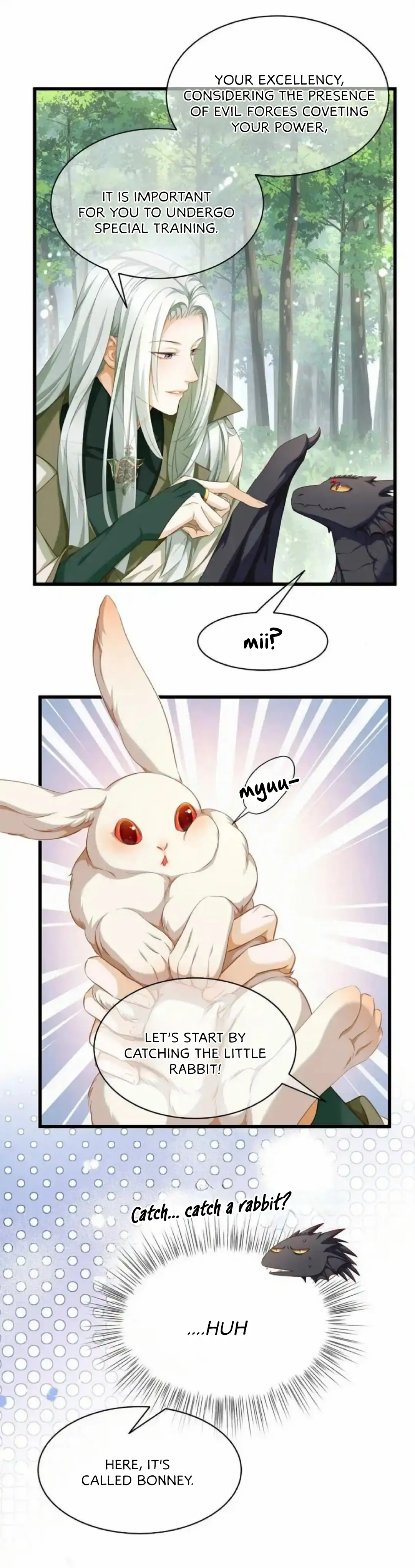 I Was Reborn as His Highness the Prince's Little Evil Dragon Chapter 14 Page 12
