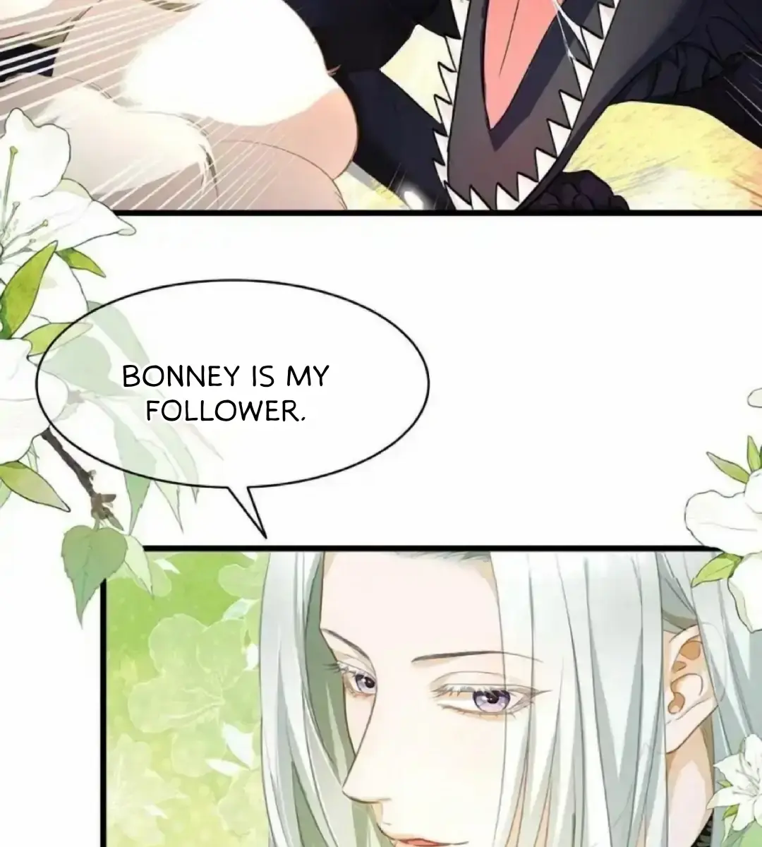 I Was Reborn as His Highness the Prince's Little Evil Dragon Chapter 14 Page 23