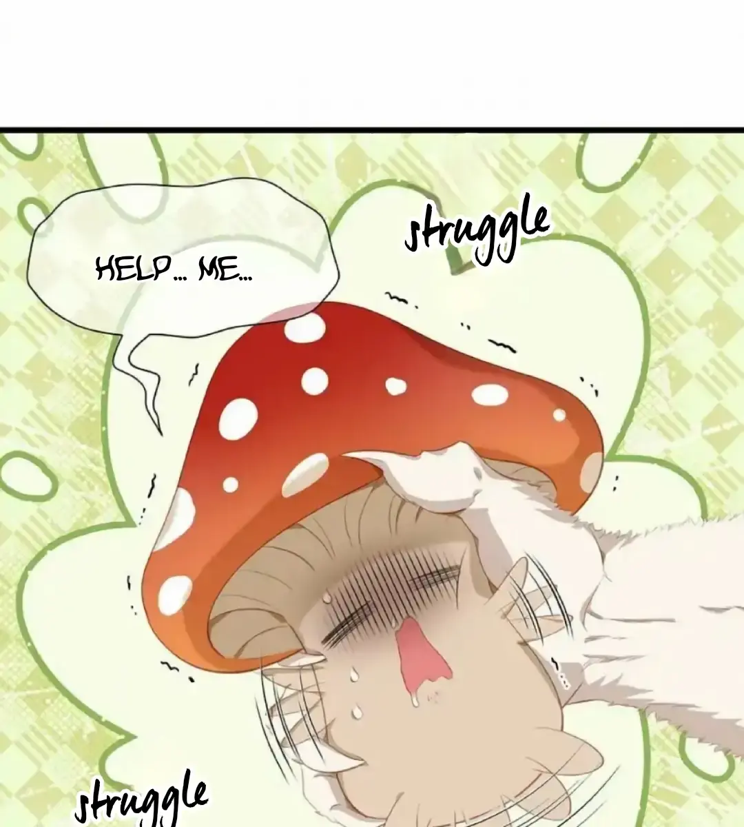 I Was Reborn as His Highness the Prince's Little Evil Dragon Chapter 14 Page 70