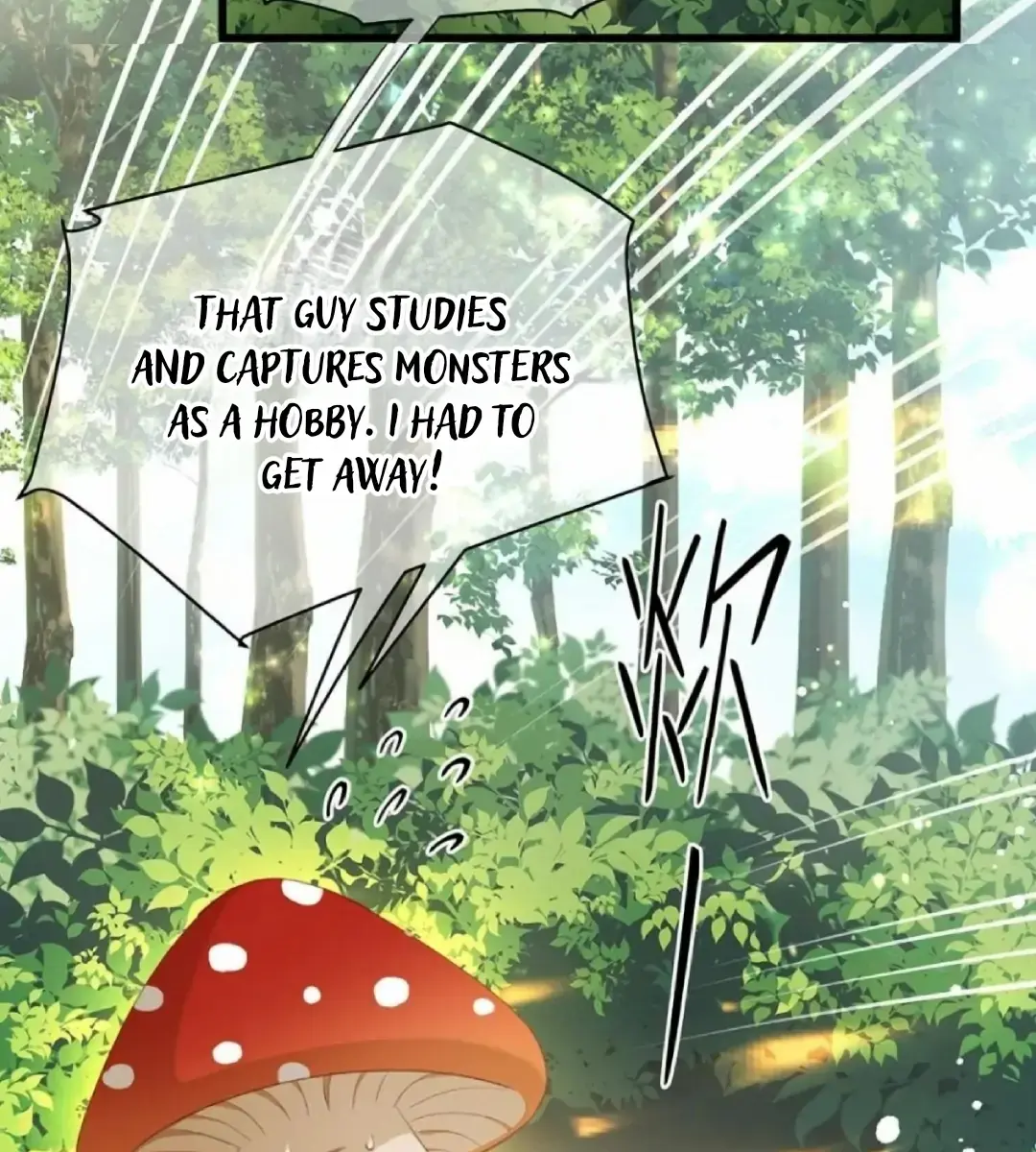 I Was Reborn as His Highness the Prince's Little Evil Dragon Chapter 16 Page 11
