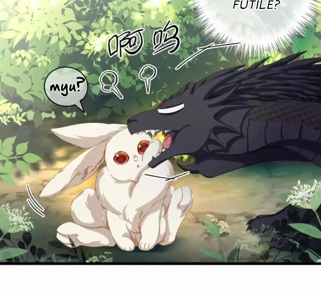 I Was Reborn as His Highness the Prince's Little Evil Dragon Chapter 16 Page 20