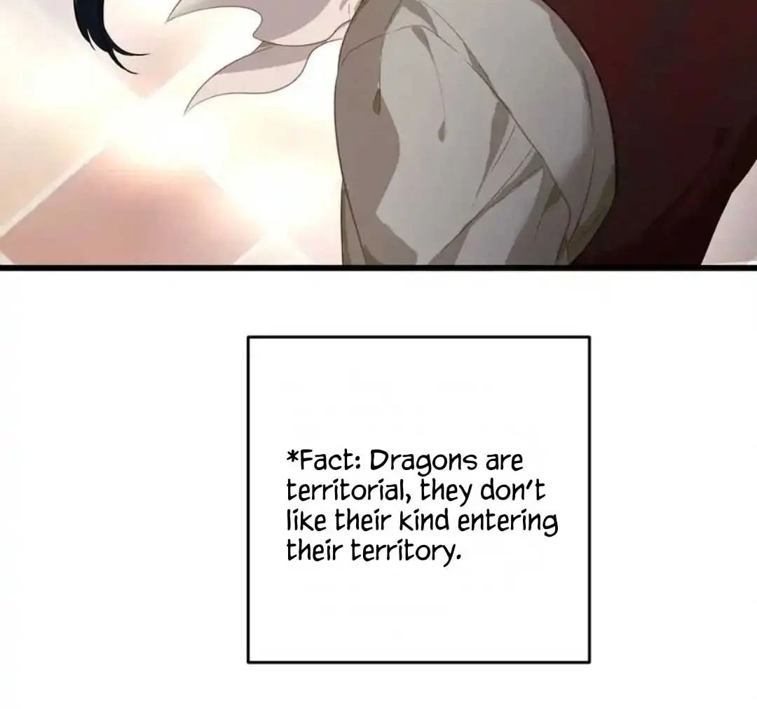 I Was Reborn as His Highness the Prince's Little Evil Dragon Chapter 22 Page 41