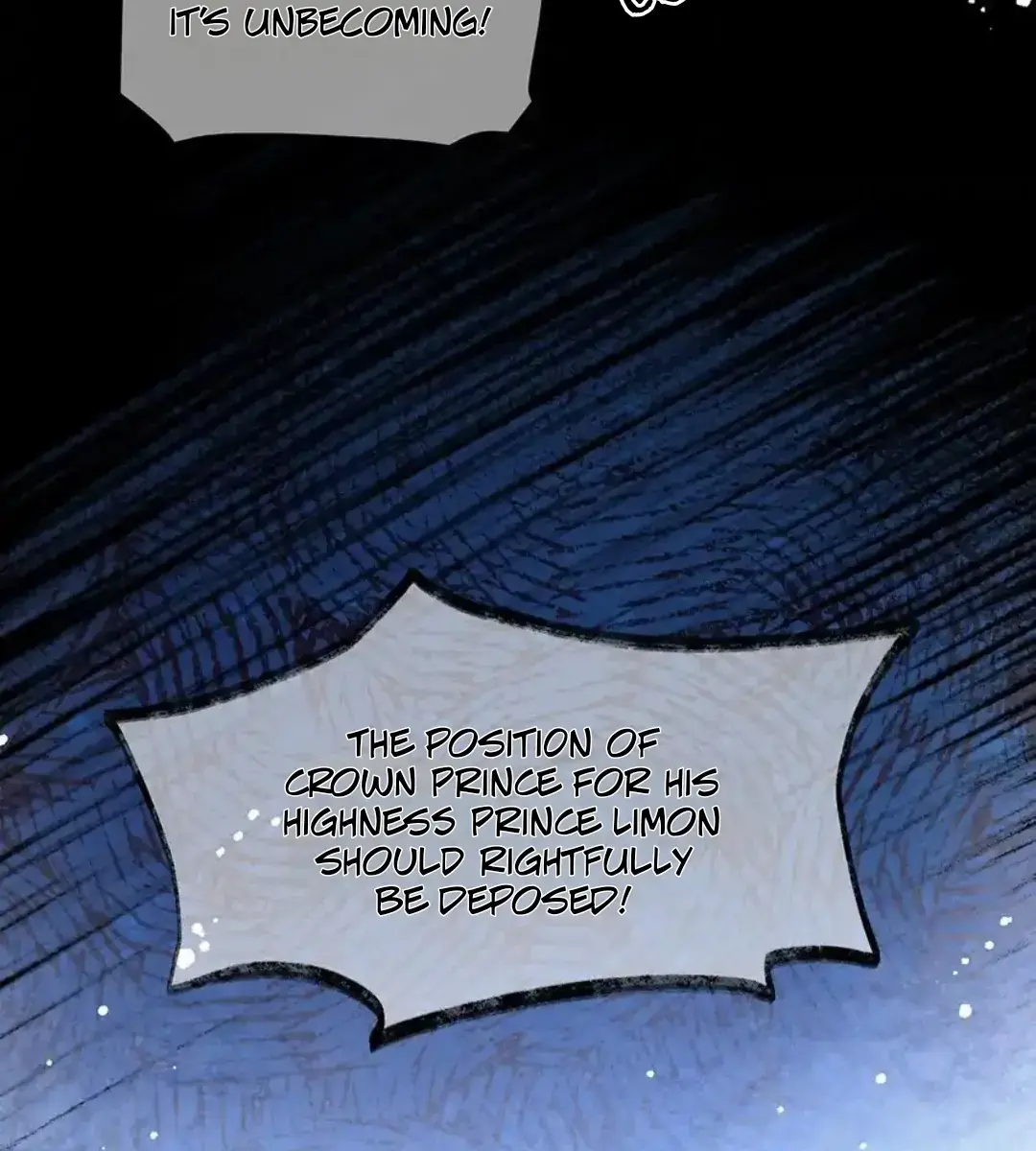 I Was Reborn as His Highness the Prince's Little Evil Dragon Chapter 24 Page 13