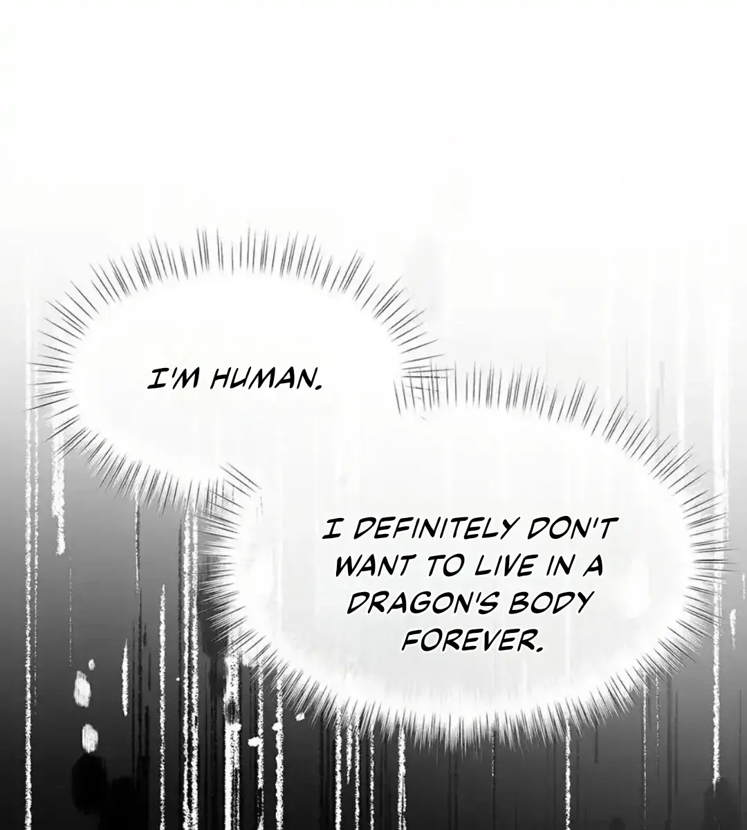 I Was Reborn as His Highness the Prince's Little Evil Dragon Chapter 25 Page 26