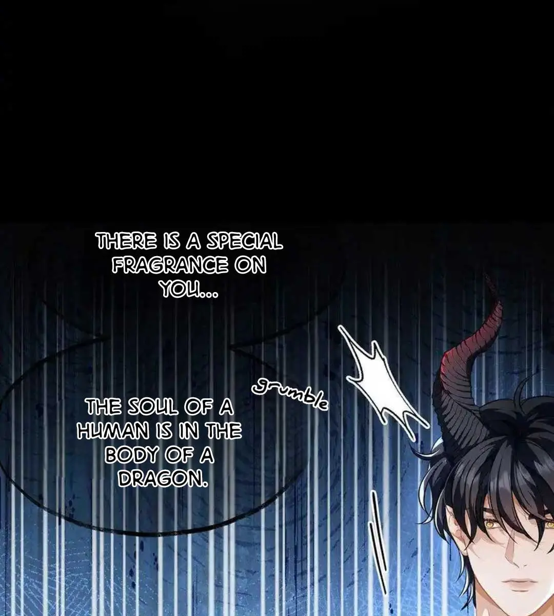 I Was Reborn as His Highness the Prince's Little Evil Dragon Chapter 28 Page 51