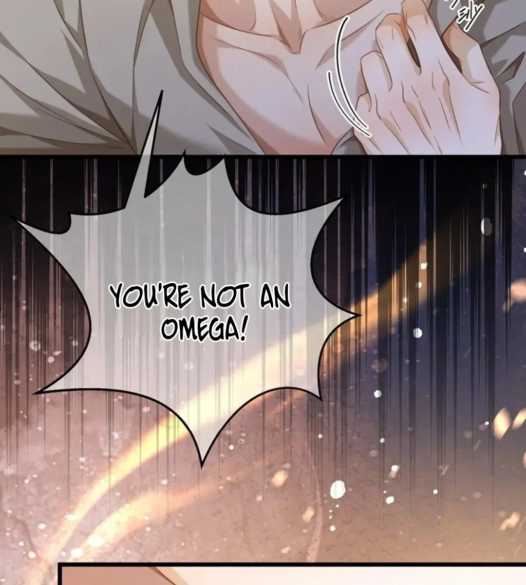 I Was Reborn as His Highness the Prince's Little Evil Dragon Chapter 31 Page 31
