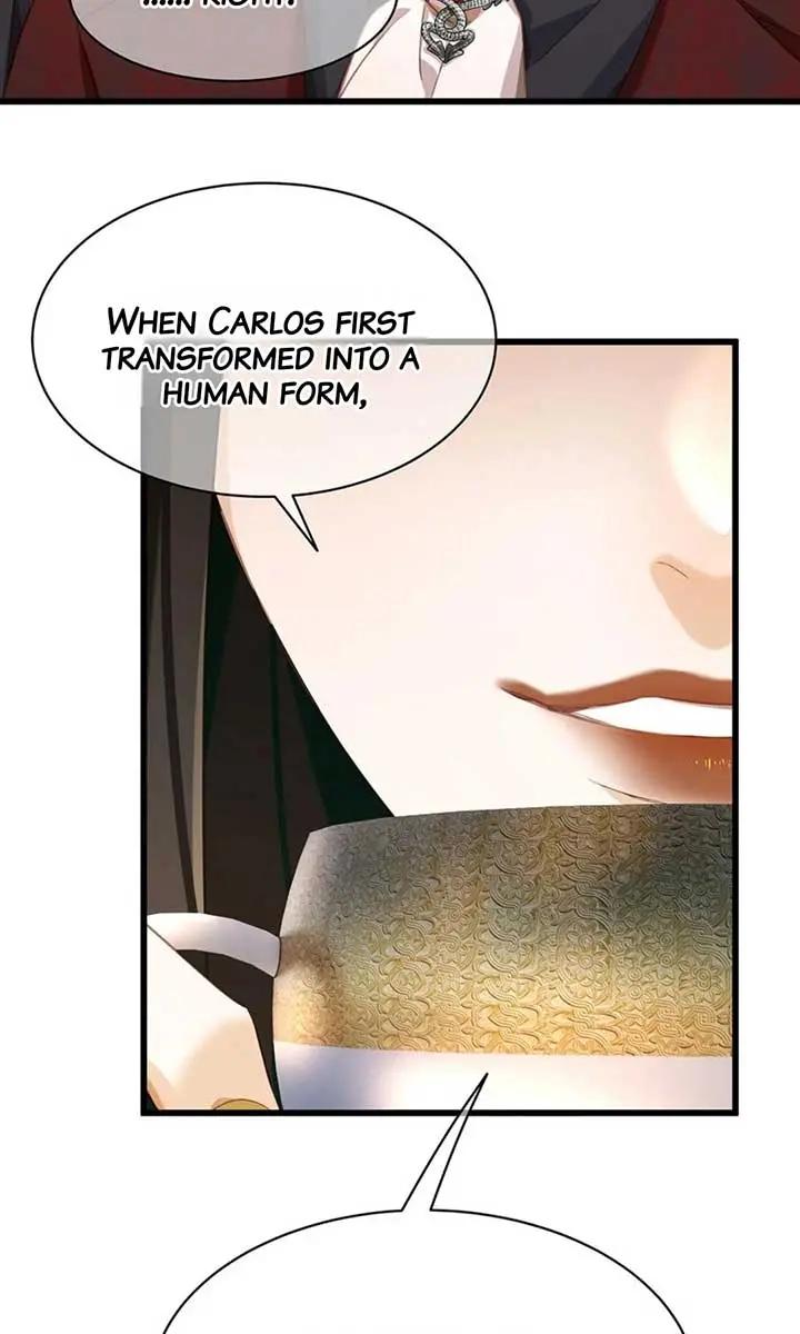 I Was Reborn as His Highness the Prince's Little Evil Dragon Chapter 34 Page 50