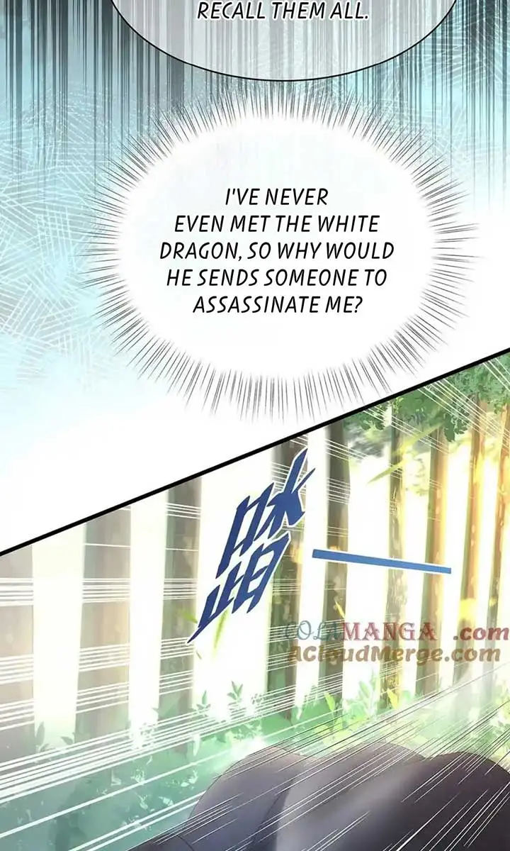 I Was Reborn as His Highness the Prince's Little Evil Dragon Chapter 38 Page 42