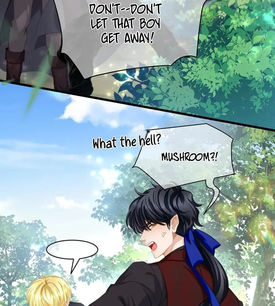I Was Reborn as His Highness the Prince's Little Evil Dragon Chapter 39 Page 6