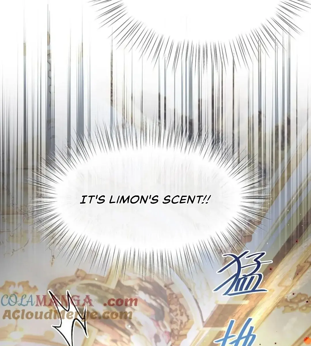 I Was Reborn as His Highness the Prince's Little Evil Dragon Chapter 39 Page 34
