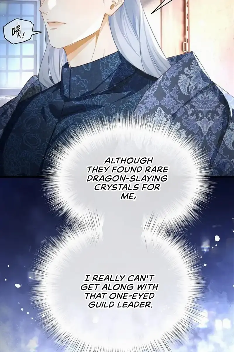 I Was Reborn as His Highness the Prince's Little Evil Dragon Chapter 43 Page 41