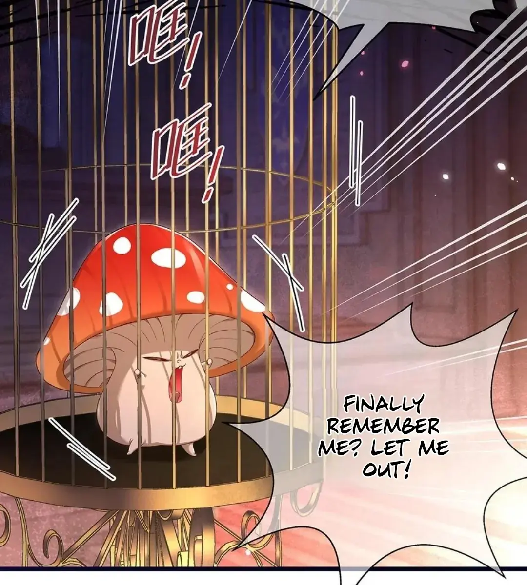 I Was Reborn as His Highness the Prince's Little Evil Dragon Chapter 51 Page 37