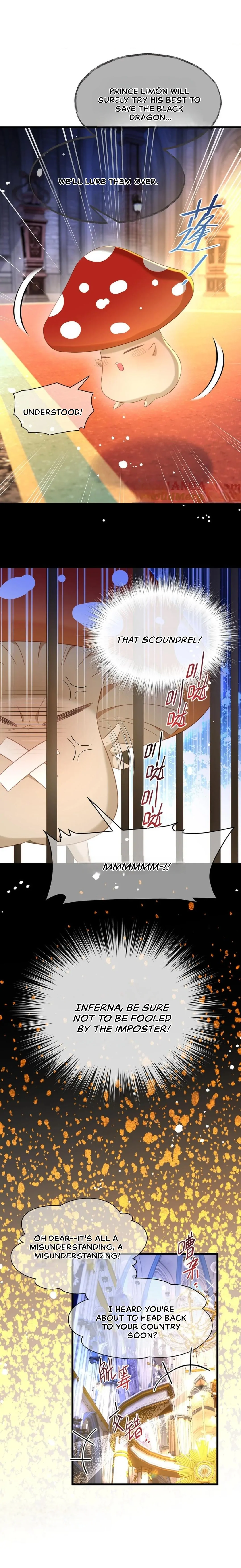I Was Reborn as His Highness the Prince's Little Evil Dragon Chapter 51 Page 47